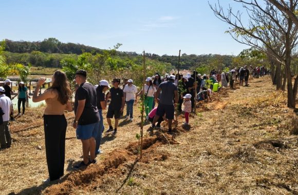 SAAE E PARCEIROS PROMOVEM PLANTIO DE 250 MUDAS NO PARQUE DO MIRIM